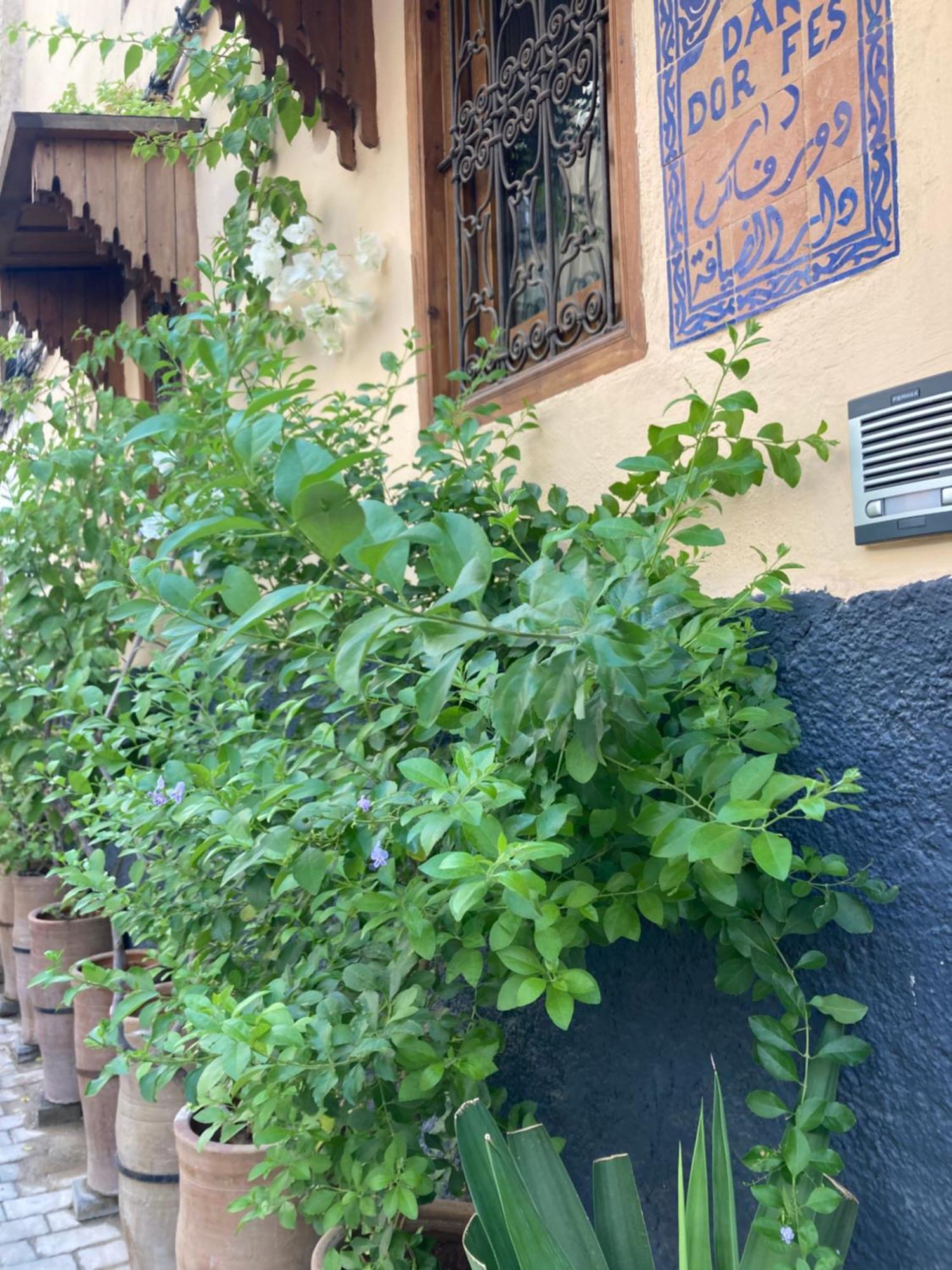Hotel Dar D'Or Fez Exterior foto